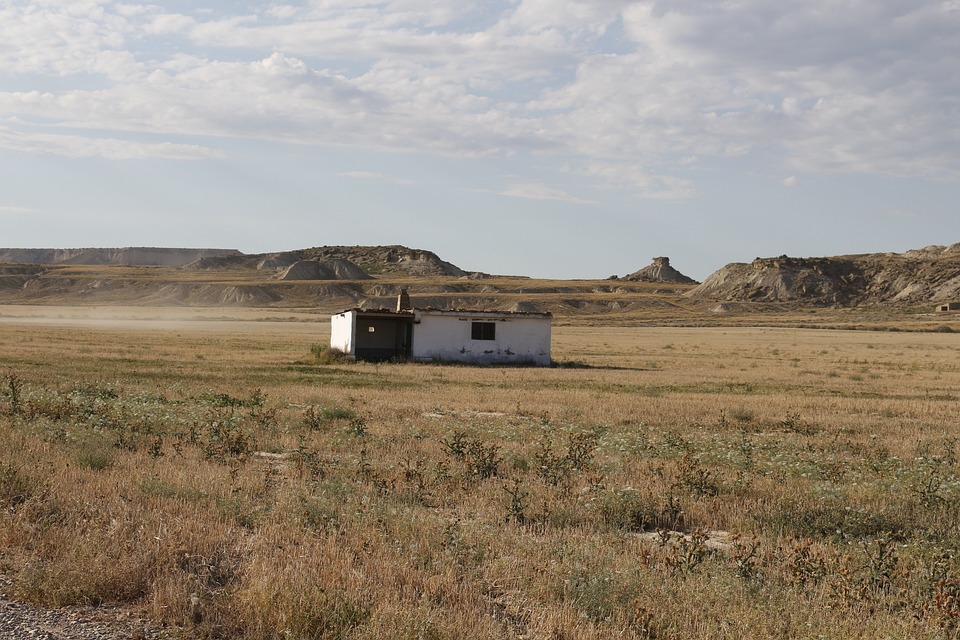 arid food forest land regeneration