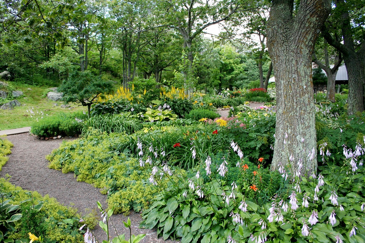 backyard food forest