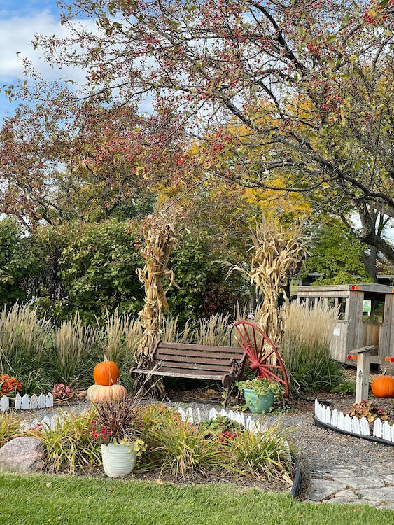 permaculture food forest